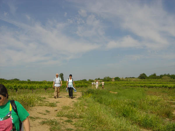 0012 DSC01759