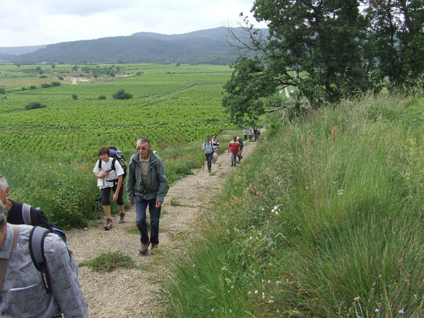 0014_DSCF2893