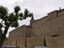 0124_P6020814