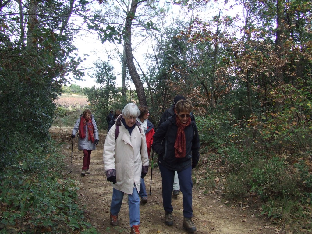 DSCF5753.jpg