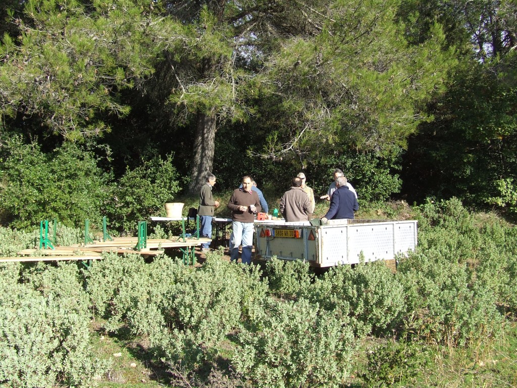 DSCF5652.jpg