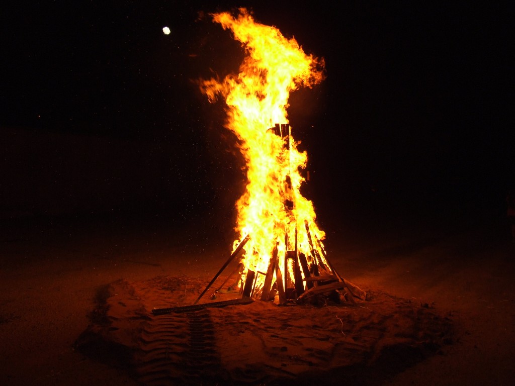 DSCF5272.jpg