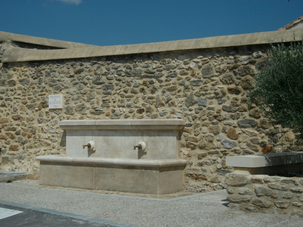 IMGP0872.jpg