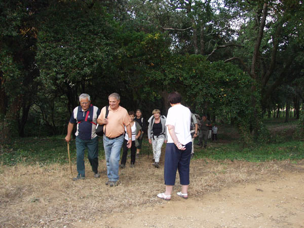 P8207620