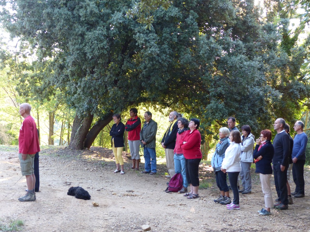 P1010151.jpg