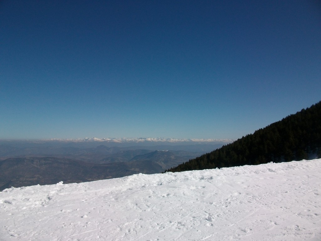 IMGP9049.jpg